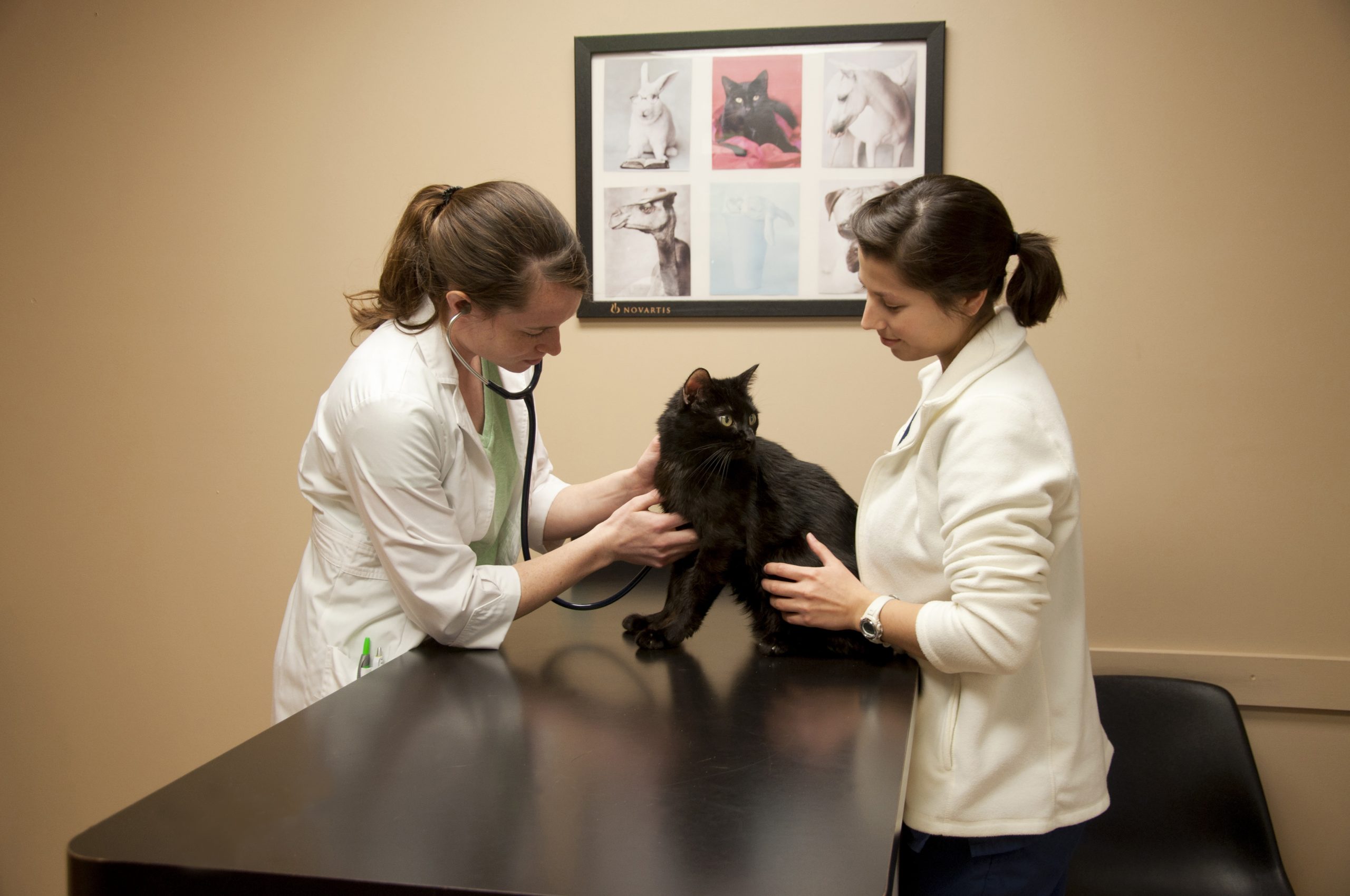 Special Care & Hospitalization Bedford, IN