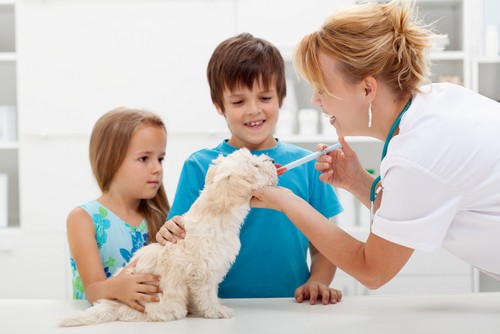 Vaccinations Bedford, IN